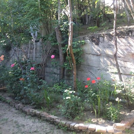 Guesthouse Malkhazi Borjomi Bagian luar foto
