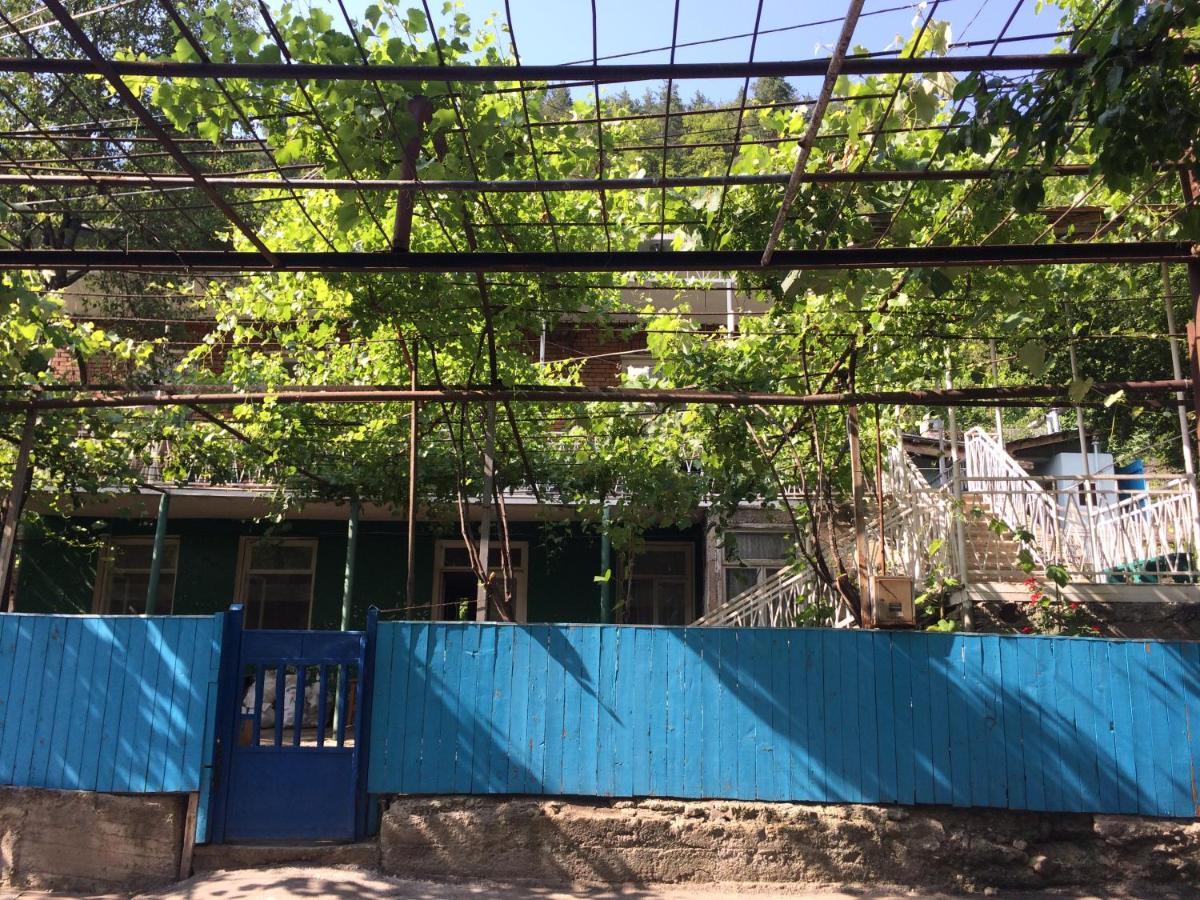 Guesthouse Malkhazi Borjomi Bagian luar foto