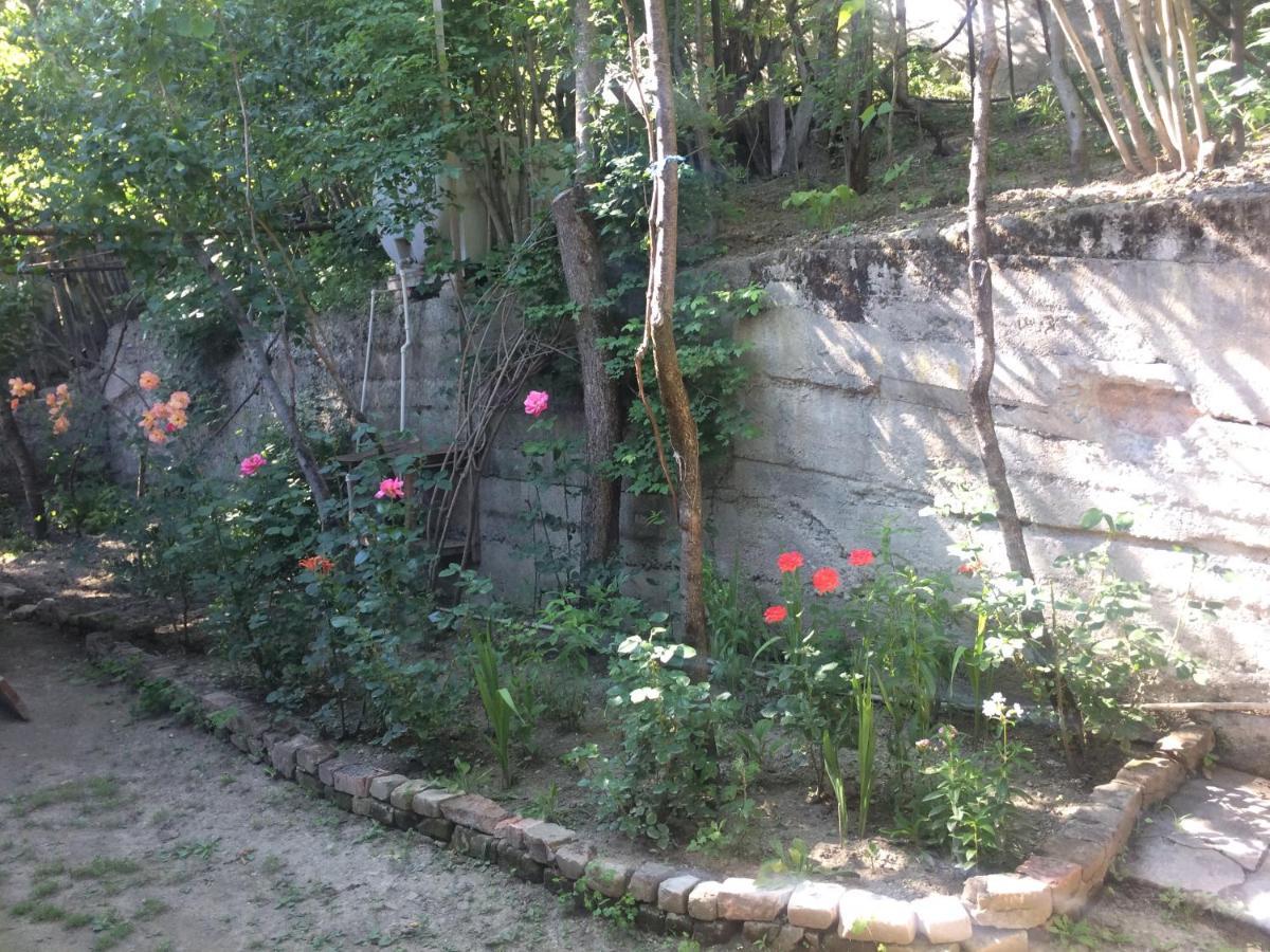 Guesthouse Malkhazi Borjomi Bagian luar foto
