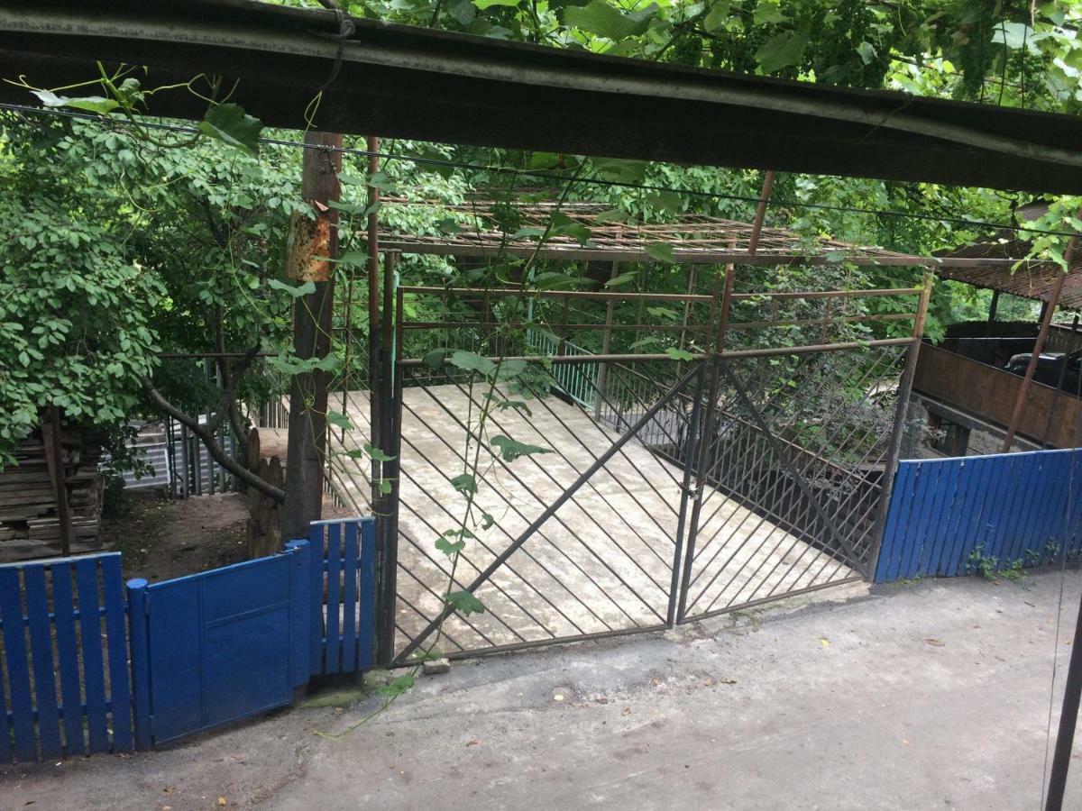 Guesthouse Malkhazi Borjomi Bagian luar foto